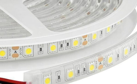Aca Wasserdicht LED-Streifen 24V RGB Licht 1m Typ SMD5050