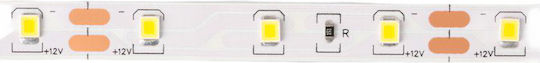 Eco Light Ταινία LED 12V Φυσικό Λευκό Φως 5m Τύπου SMD2835