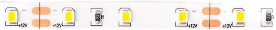 Eco Light Bandă LED 12V Alb Cald Lumină 5m Tip SMD2835