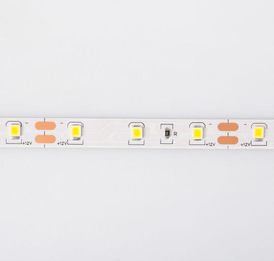 Eco Light Ταινία LED 12V Θερμό Λευκό Φως 5m Τύπου SMD2835