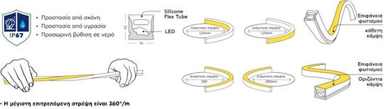Cubalux Waterproof LED Strip 24V Natural White Light 5m Neon Flex