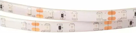 Eco Light LED-Streifen 12V Rot Licht 5m Typ SMD2835