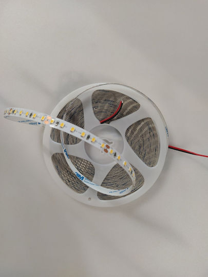 Home Lighting LED Strip 24V Natural White Light 10m