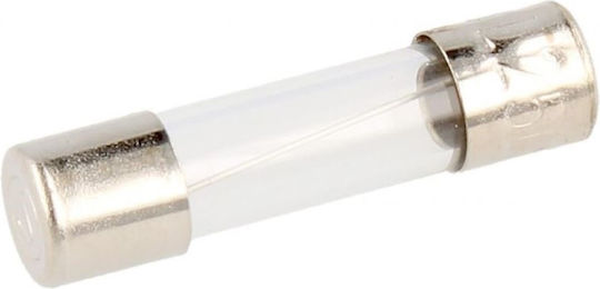 Set 10 Timed Fuses 10a-t 5x20mm