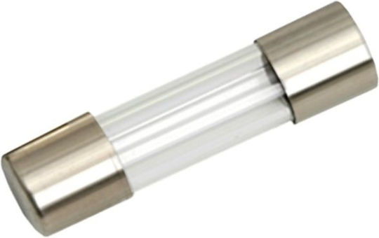 Set 10 Timed Fuses 10a-t 5x20mm