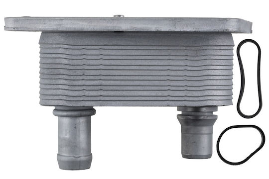 NTY Car Oil Radiator for Peugeot 3008 / 308 / 5008 / 508 / Boxer / Expert / Traveller Opel Grandland X / Vivaro / Zafira Life Toyota Proace / Proace (Verso) Citroen C4 Grand Picasso / C4 / C4 Picasso / C4 SpaceTourer / C5 / DS / DS4 / DS5 / Jumper / Jumpy / SpaceTourer Ford C-Max / Focus / Galaxy / Grand C-Max / Kuga / Mondeo / S-Max