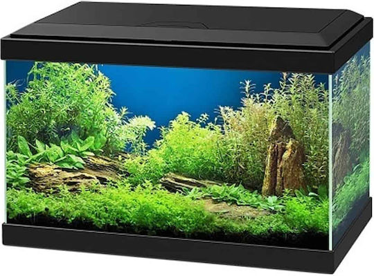 Ciano Aqua 20 Fisch-Aquarium mit Kapazität von 17Es mit Beleuchtung, Filter und 40x20x26cm Schwarz