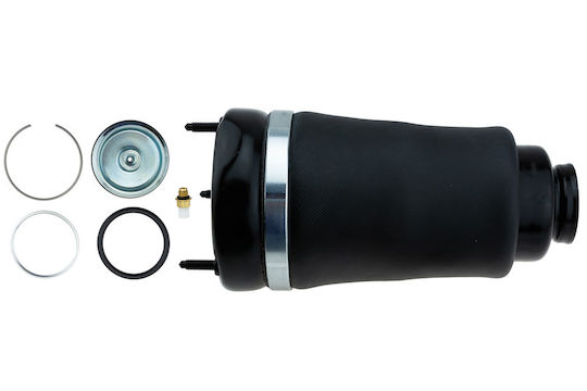 NTY Set Suspensions 1pcs for Mercedes-Benz M Class