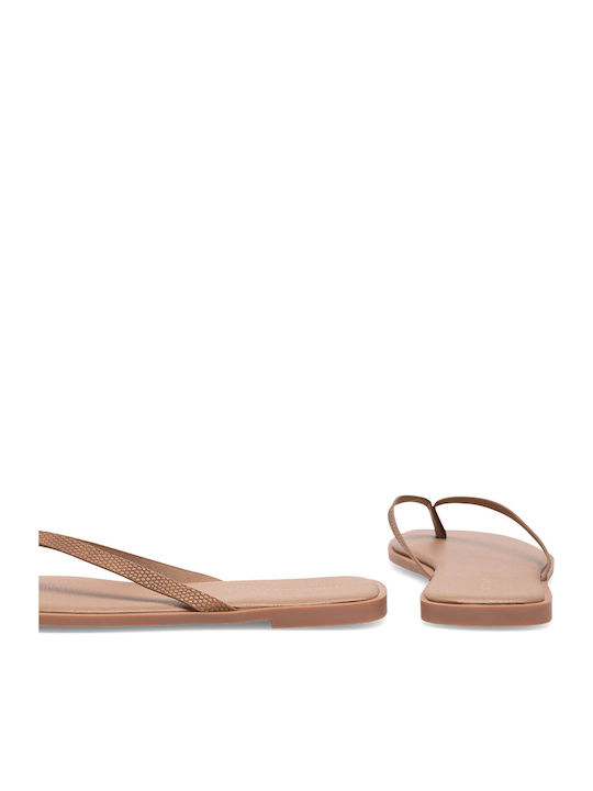 Women's Flat Sandals in Brown Color