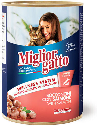 Morando Miglior Gatto Wellness Wet Food for Adult Cats in Cans with Salmon 405gr