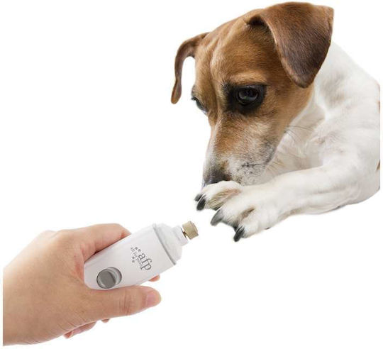 All For Paws Λίμα Σκύλου
