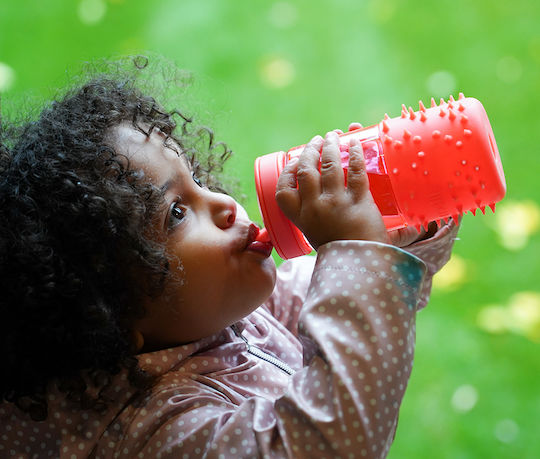Stachelige Wasserflasche Rot Honigmelone