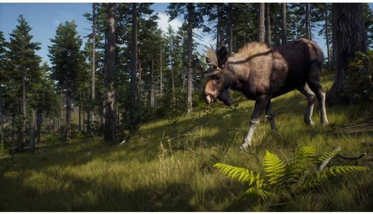 Way of the Hunter Wild Expeditions PS5 Game