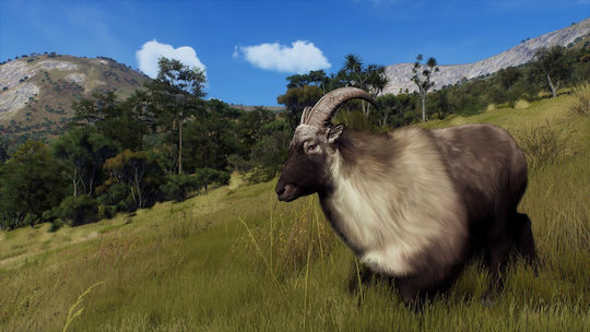 Way of the Hunter Wild Expeditions PS5 Game
