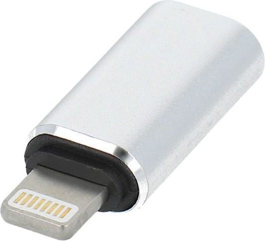 Konverter USB-C weiblich zu Blitzschlag weiblich Silber 1Stück