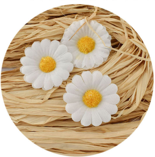 Cosmofan Verpackungsgras 20g