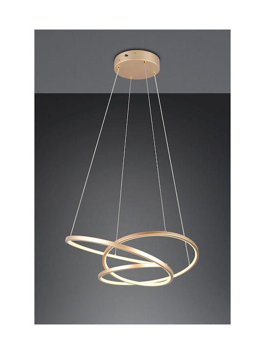 Trio Lighting Pendant Light Gold