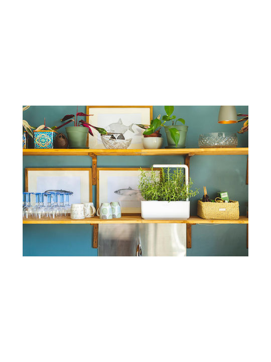 Click and Grow The Smart Garden 3 Self-watering Planter Box Plastic White 32x23x21cm.