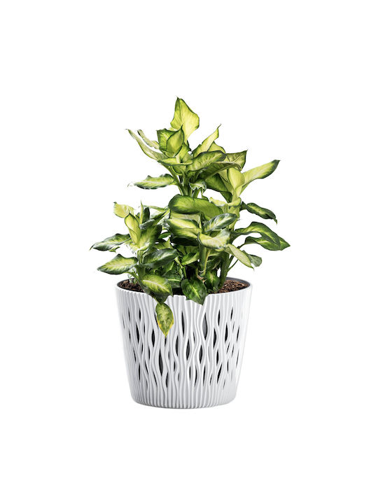 Marhome Sandy Pot Plastic 12.8x12.8x11.1cm.