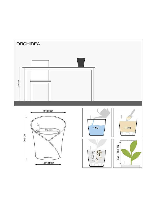 Lechuza Orchidea Self-watering Pot Plastic 18x18x20cm.