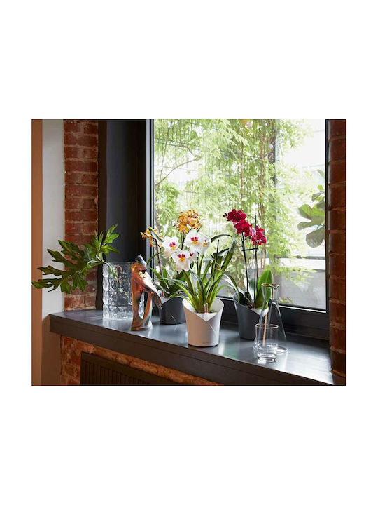 Lechuza Orchidea Self-watering Pot Plastic 18x18x20cm.