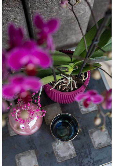 Capi Blumentopf Kunststoff