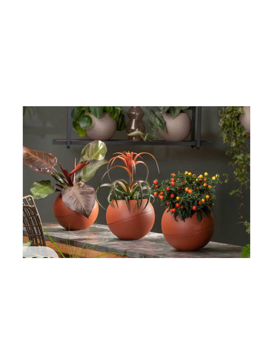 Globee Γλάστρα Πλαστική Anthracite Globee Γλάστρα Πλαστική Anthracite