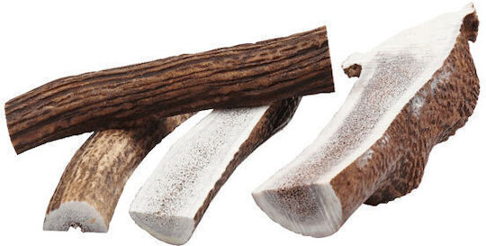 Celebrate Freshness Wild Horn Hund Mittelgroße Rassen aus Hirsche 120gr 84262