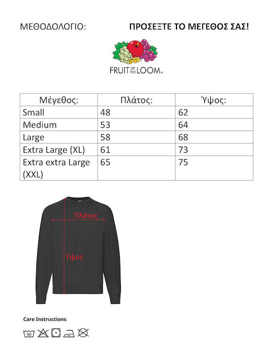 Fruit of the Loom Sweater One Piece Zoro No2 Hanorace One Piece Negru