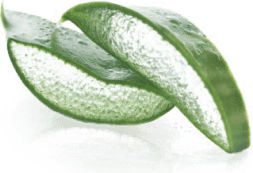 Lavera Basis Sensitiv Στέρεο Σαμπουάν Ενυδάτωσης 50gr