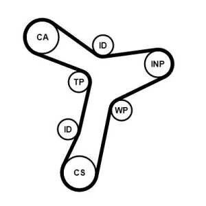 Contitech Timing Belt