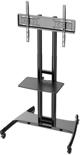 Axred ZEUS Βάση Τηλεόρασης Δαπέδου έως 80" και 45.5kg