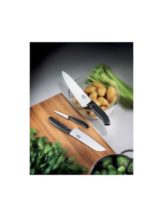 Victorinox Swiss Classic Knife General Use from Stainless Steel 10cm