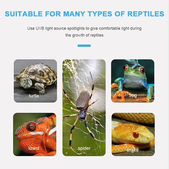 Heat Lamp UVA+UVB 3 Reptiles Turtles Clamp On/Off Switch UVA UVB Bulb 25W