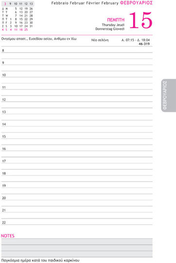 Innostat Palmare Daily Planner 2025 17x25cm