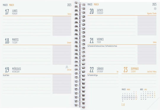 Finocam Daily Agendas 2024/25 12x16.4cm