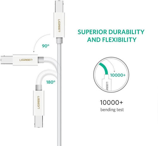 Ugreen US241 USB 2.0 Cable USB-C male - USB-B Λευκό 1.5m 40417
