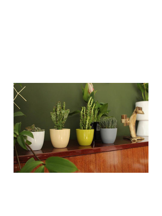 Polnix Planter Ceramic White 7x7x6cm.