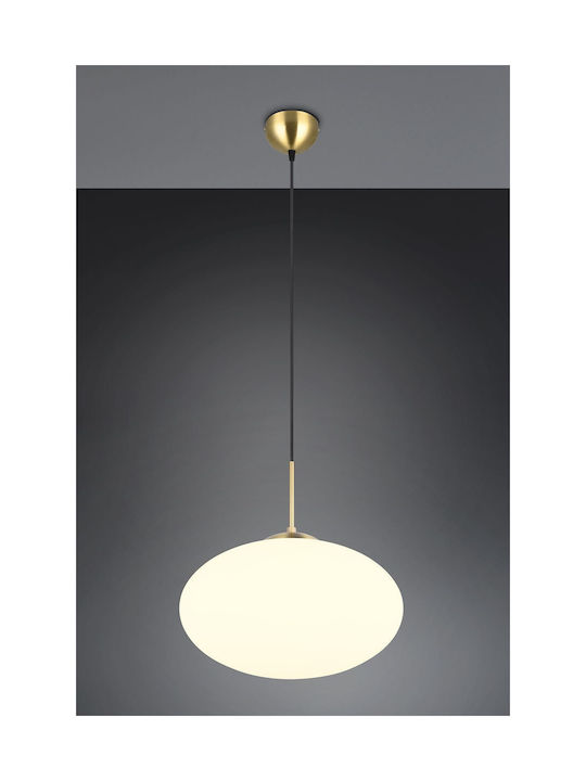 Trio Lighting Pendant Light 40x150cm