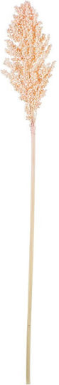 Αποξηραμένο Sorghum 70γρ Ρτ192 Nv-7130192