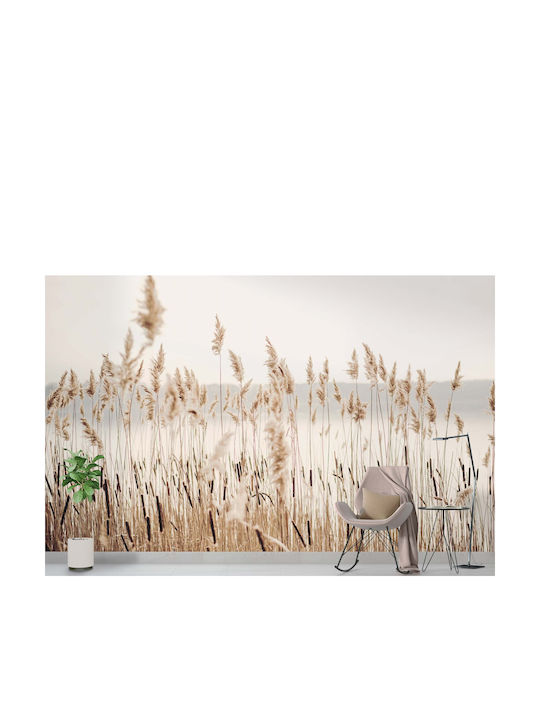 Μοντέρνα Ταπετσαρία Σαλόνι Ταπετσαρία Pampas Grass Boho Beige 240x360 Μοντέρνα Ταπετσαρία Σαλόνι Ταπετσαρία Pampas Grass Boho Beige 240x360