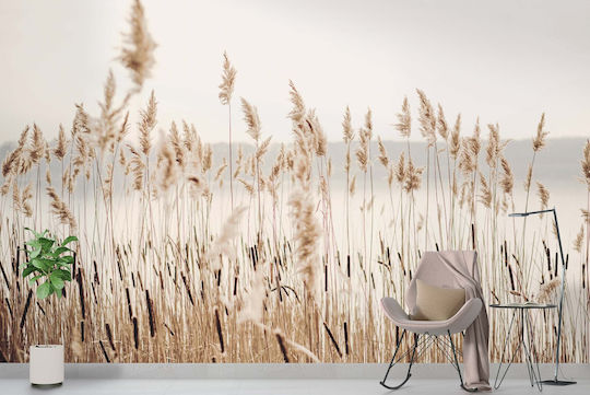 Μοντέρνα Ταπετσαρία Σαλόνι Ταπετσαρία Pampas Grass Boho Beige 240x360