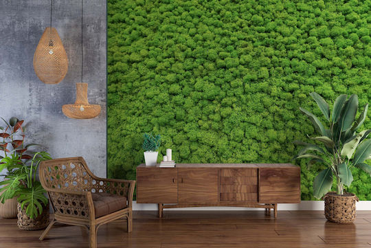 Contemporary Wall Mural Living Room Green Moss Weed 148x220