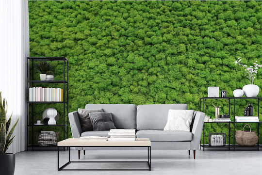 Contemporary Wall Mural Living Room Green Moss Weed 148x220