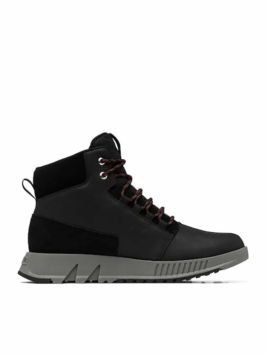 Sorel