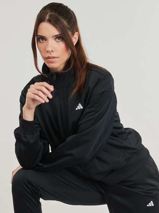 Feelcozy Trening Dama Module Negru