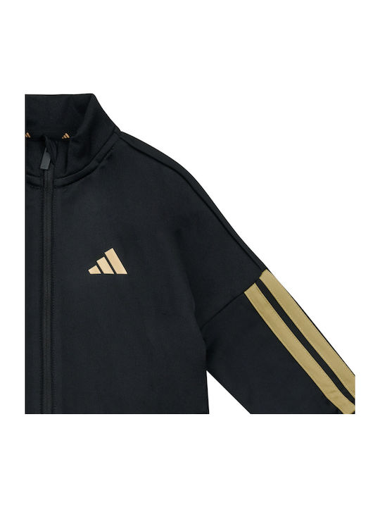 Kinder Sweatpants Set - Jogginganzug Schwarz 2Stück Essentials