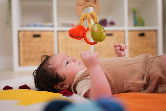 Ξύλινη Κουδουνίστρα Dino Friends 0m+ Baby To Love Bws-btl304850