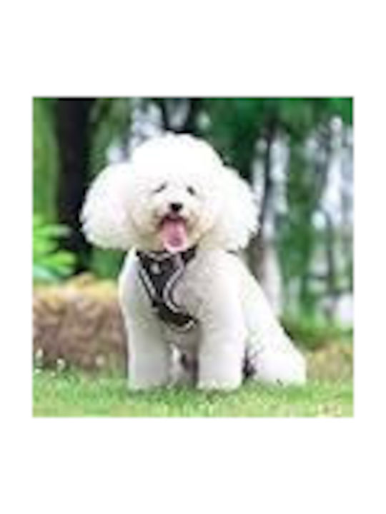 Hundegeschirr Weste Grau Klein 30-35cm Hundegeschirr Weste Grau Klein 30-35cm
