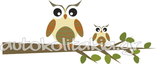 Owl Branch Wall Sticker 50cm X 21cm